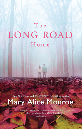 Title details for The Long Road Home by Mary Alice Monroe - Wait list
